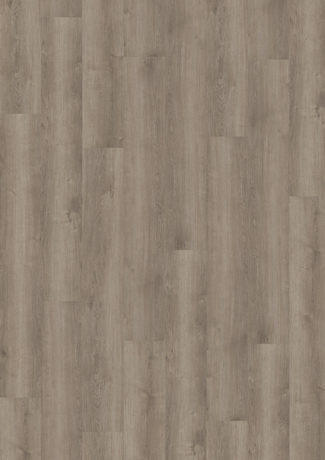 Parchet SPC 5 mm Noble Oak Greige - Home30 Concept